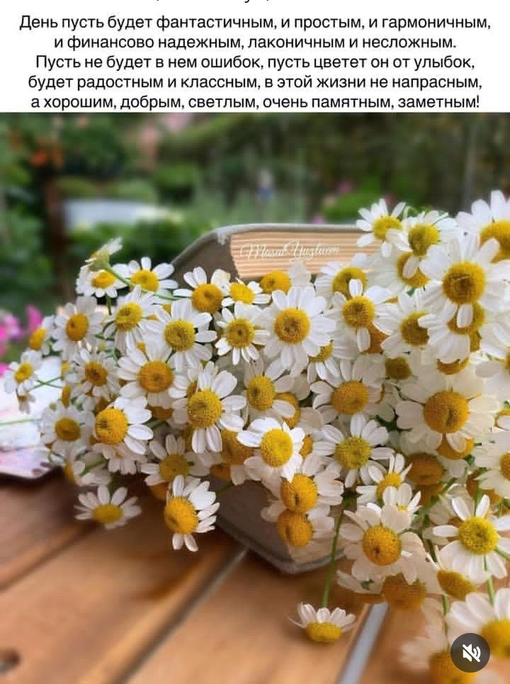 День пусть будет фантастичным, и простым, и гармоничным, и финансово надежным, лаконичным и нескожным. Пусть не будет в нем ошибок, пусть цветет он от улыбок, будет радостным и классным, в этой жизни не напрасным, а хорошим, добрым, светлым, очень памятным, заметным!