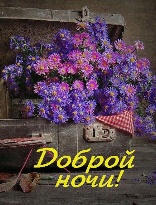 Доброй ночи!