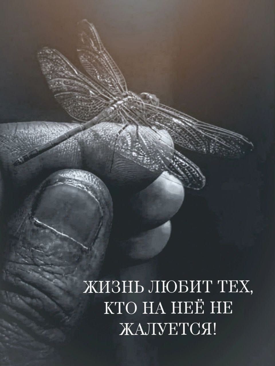 ЖИЗНЬ ЛЮБИТ ТЕХ, КТО НА НЕЁ НЕ ЖАЛУЕТСЯ!
