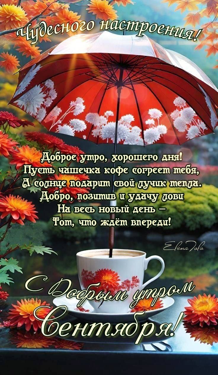 Чудесного настроения!

Доброе утро, хорошего дня! Пусть чашечка кофе согреет тебя, А солнышко подарит свой лучик тепла. Добро, позитива и удачи лови На весь новый день – Тот, что ждёт впереди!

С Добрым утром Сентября!