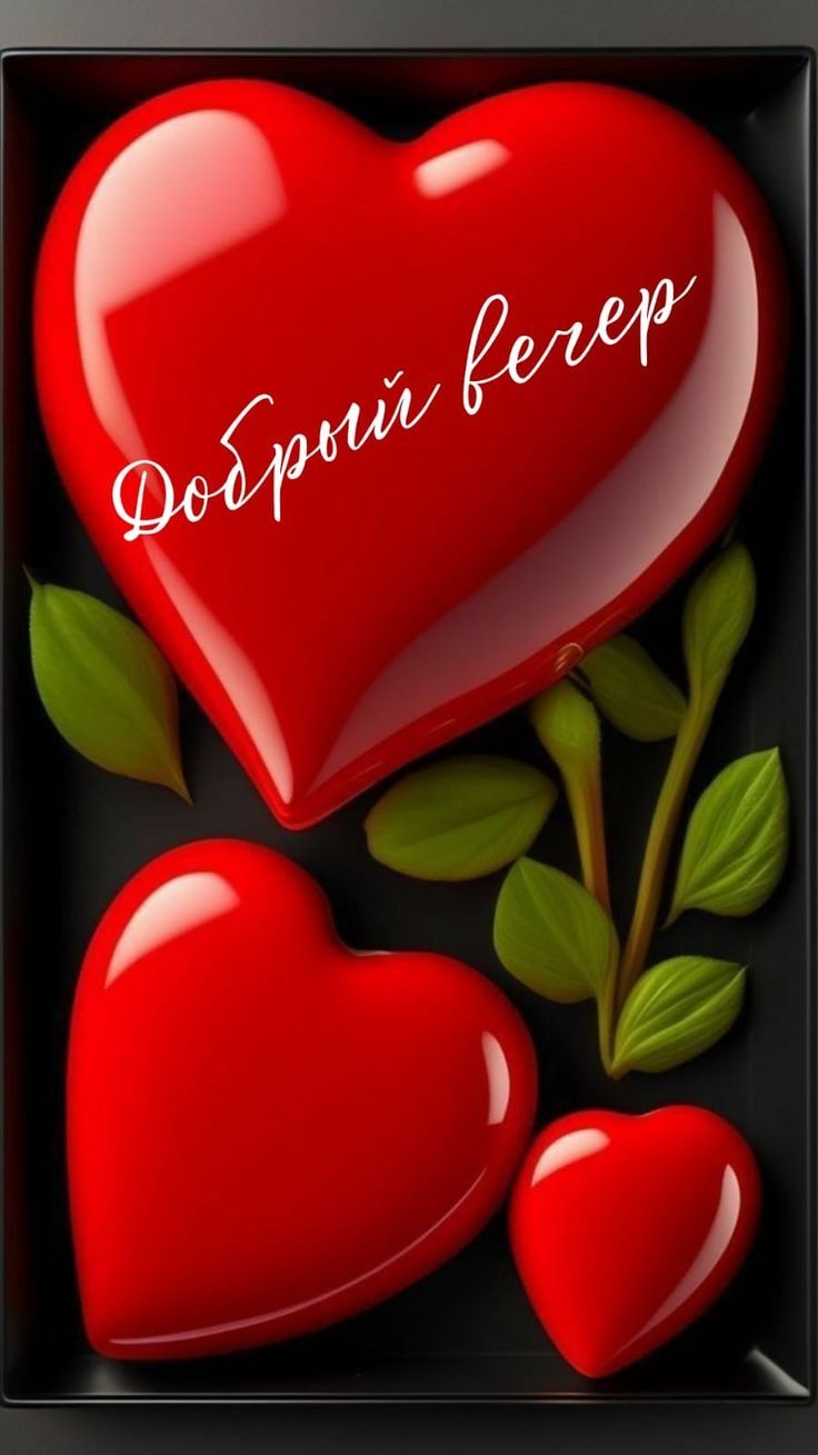 Добрый вечер