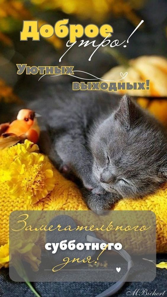 Доброе утро! Уютных выходных! Замечательного субботнего дня!