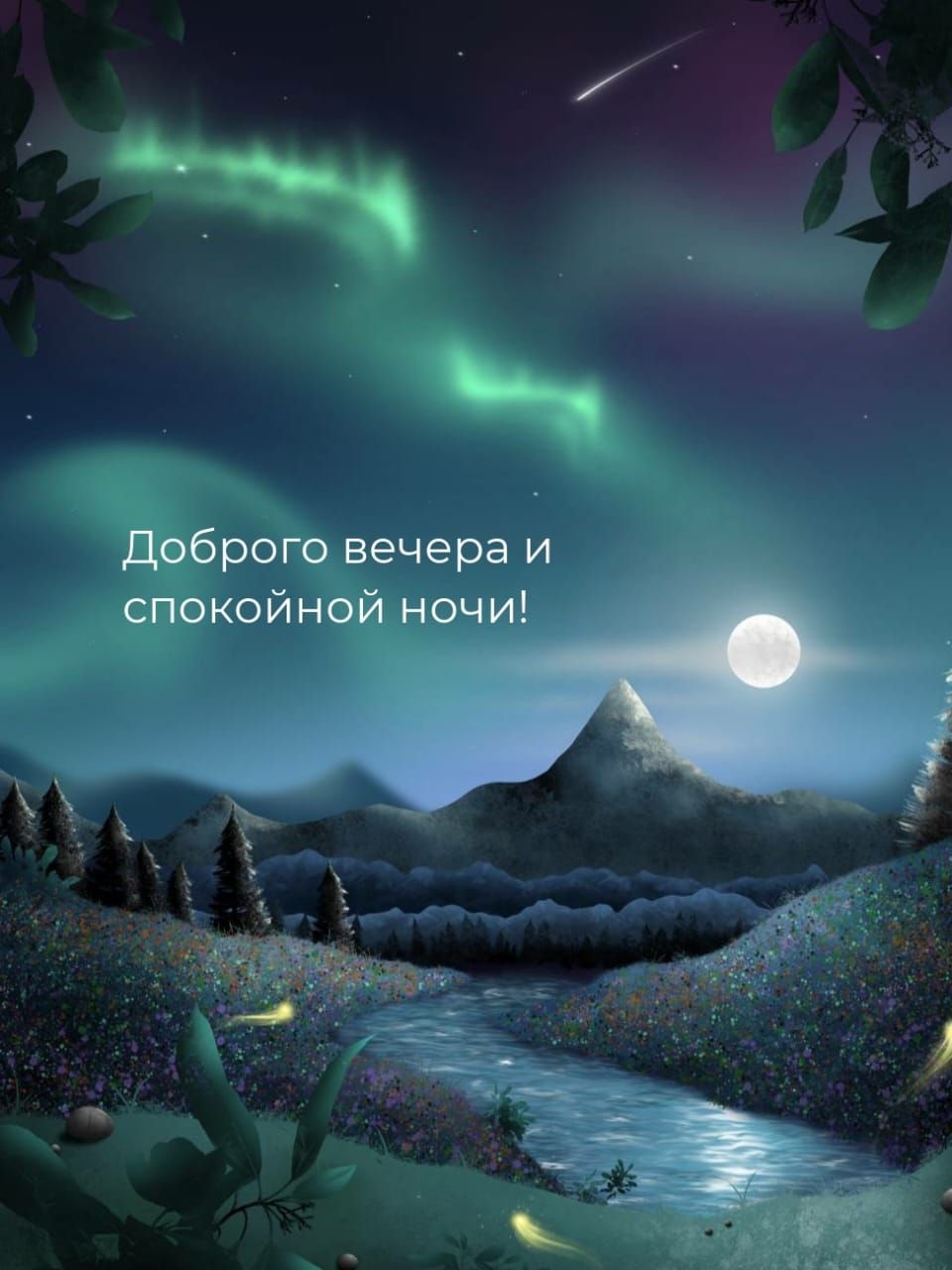 Доброго вечера и спокойной ночи!