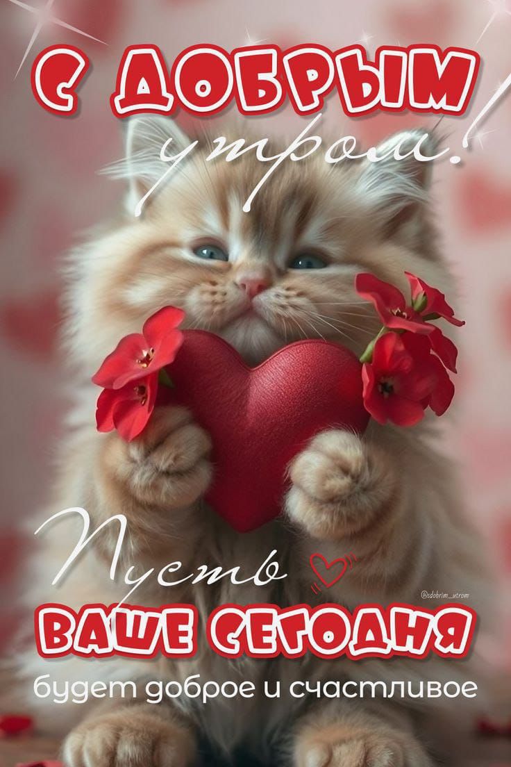 С ДОБРЫМ утром! Пусть сегодня будет доброе и счастливое.