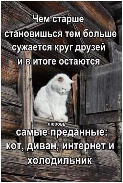 Чем старше становишься тем больше сужается круг друзей и в итоге остаются любовь самые преданные: кот, диван, интернет и холодильник
