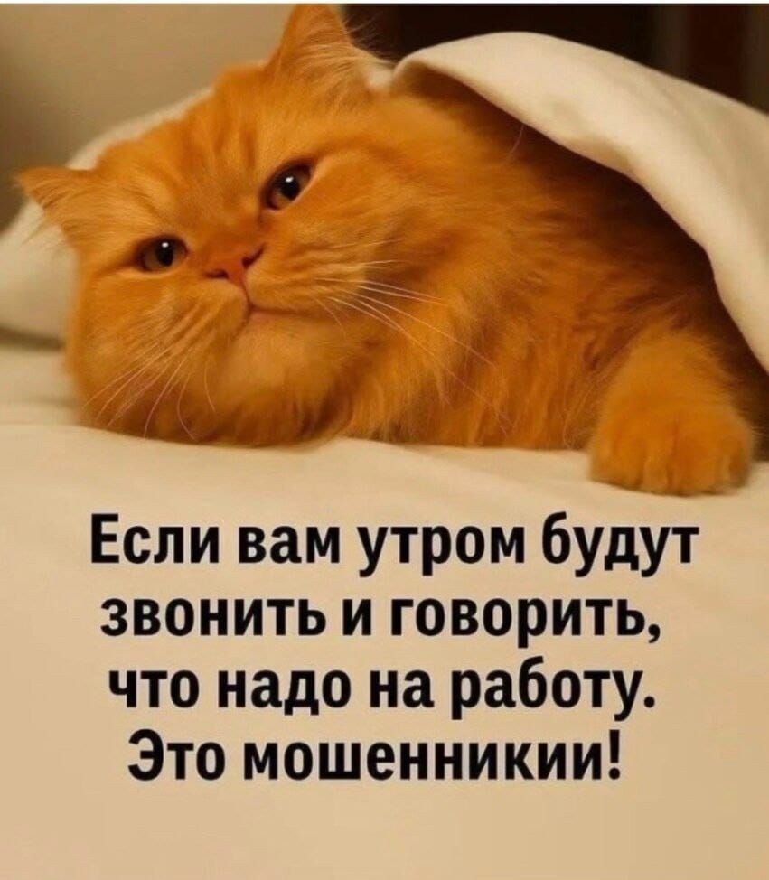 Если вам утром будут звонить и говорить, что надо на работу. Это мошенники!