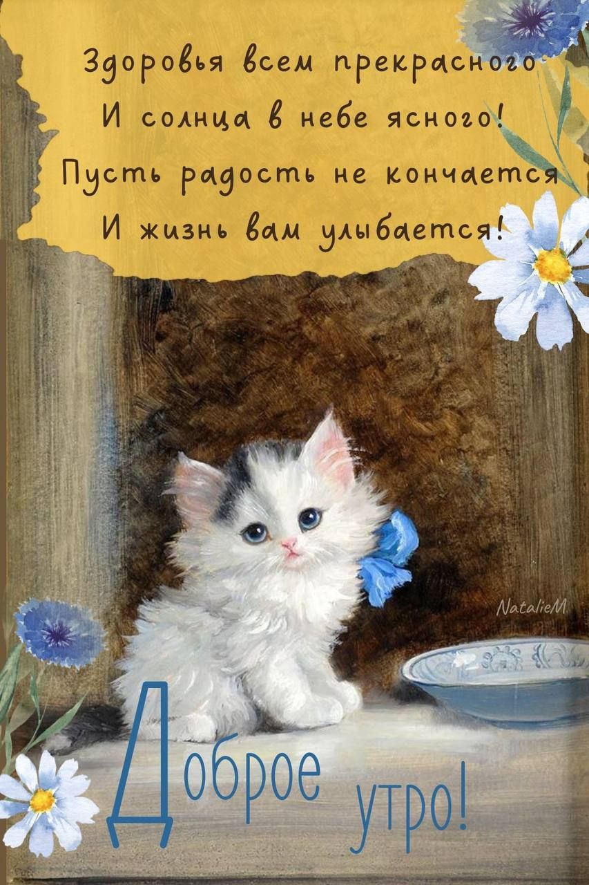Здоровья всем прекрасного И солнца в небе ясного! Пусть радость не кончется И жизнь вам улыбается! Доброе утро!