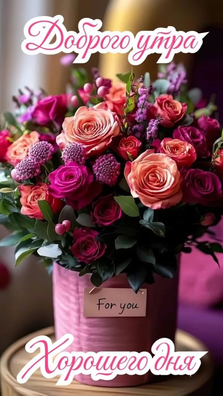 Доброе утро. Хорошего дня. For you.