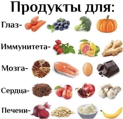 Продукты для: Глаз- Иммунитета- Мозга- Сердца- Печени-