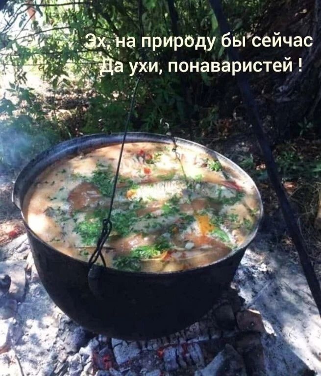 Эх, на природу бы сейчас. Да ухи, поваристей!