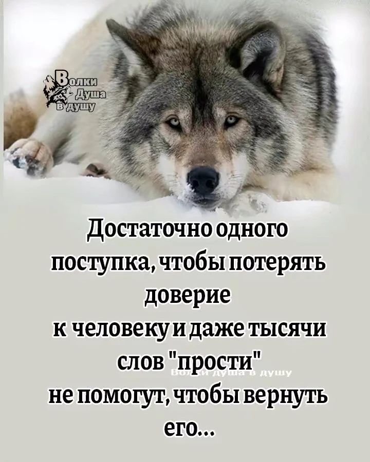 Достаточно одного поступка, чтобы потерять доверие к человеку и даже тысячи слов 