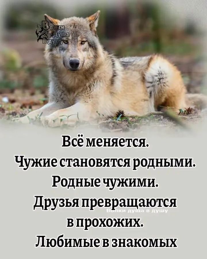 Всё меняется.\nЧужие становятся родными.\nРодные чужими.\nДрузья превращаются в прохожих.\nЛюбимые в знакомых