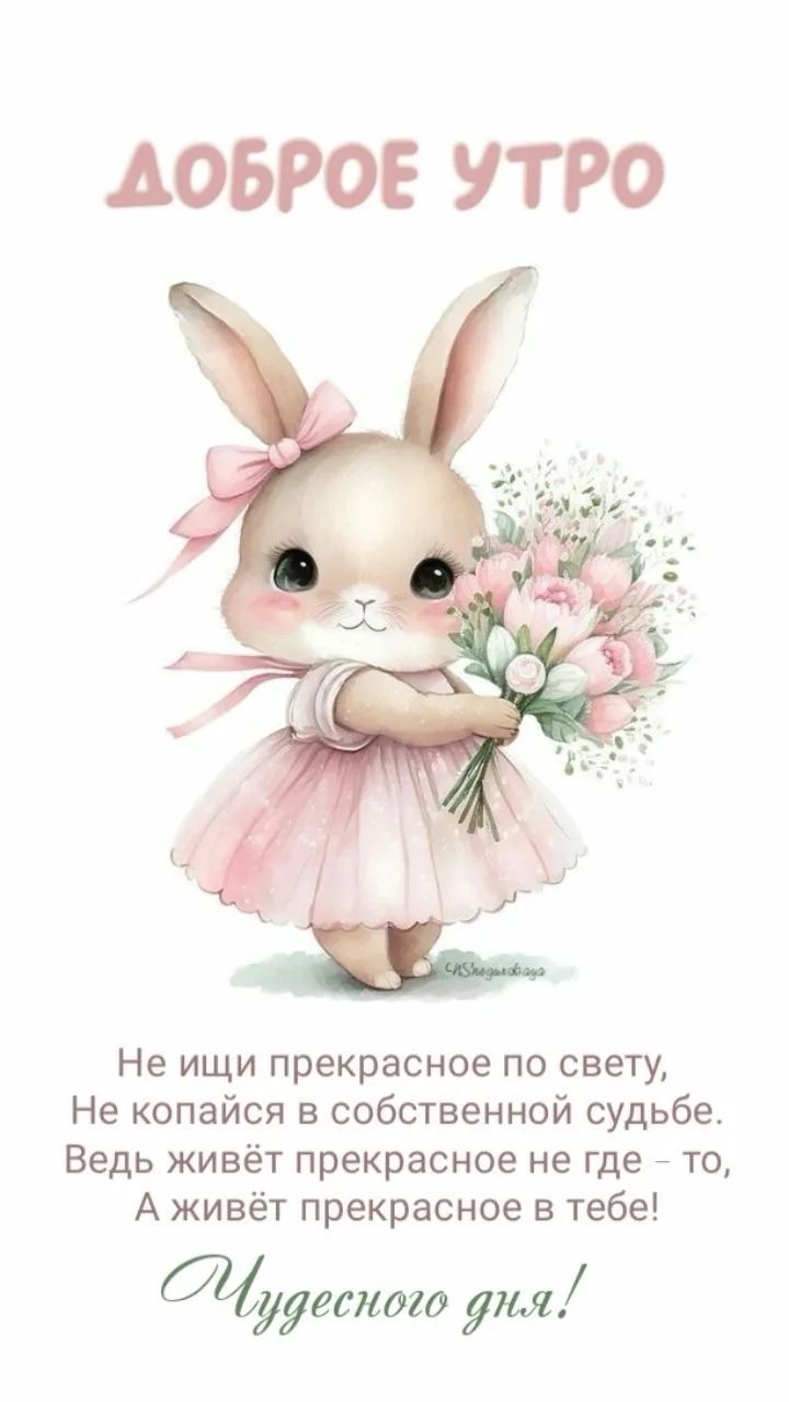 ДОБРОЕ УТРО
Не ищи прекрасное по свету,
Не копайся в собственной судьбе,
Ведь живёт прекрасное не где – то,
А живёт прекрасное в тебе!
Чудесного дня!