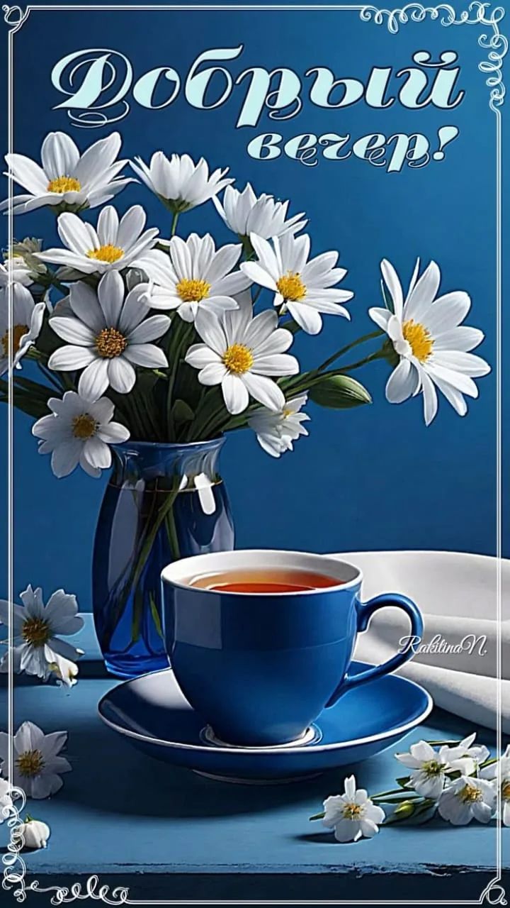 Добрый вечер!