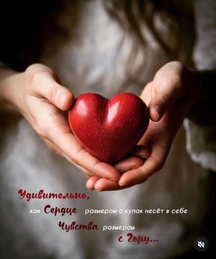 Удивительно, как Сердце размером с купал несёт в себе Чувства размером с Гору...