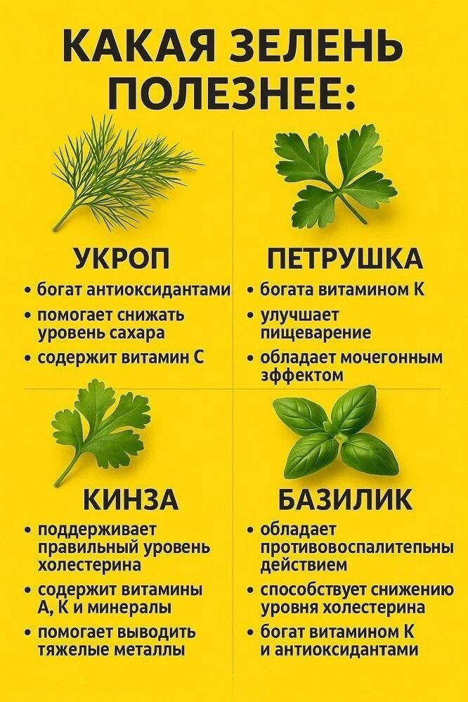КАКАЯ ЗЕЛЕНЬ ПОЛЕЗНЕЕ: УКРОП - богат антиоксидантами, помогает снизить уровень сахара, содержит витамин C. ПЕТРУШКА - богата витамином K, улучшает пищеварение, обладает мочегонным эффектом. КИНЗА (КИНЗА) - поддерживает правильный уровень холестерина, содержит витамины A, K и минералы, помогает выводить металлы. БАЗИЛИК - противовоспалительный, снижает холестерин, богат витамином K и антиоксидантами.