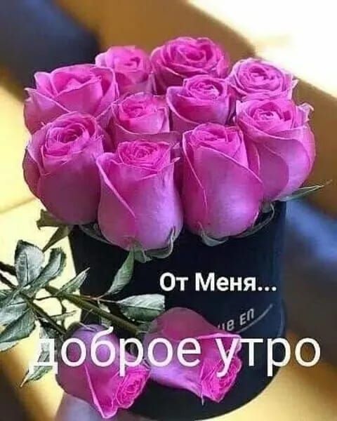 От Меня... доброе утро