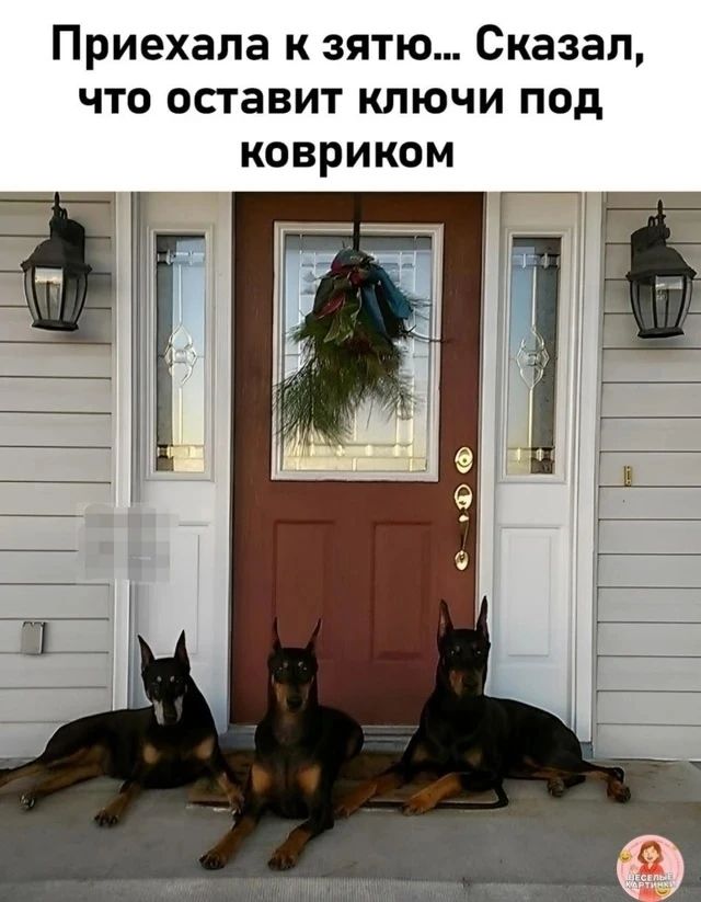 Приехала к зятю... Сказал, что оставит ключи под ковриком