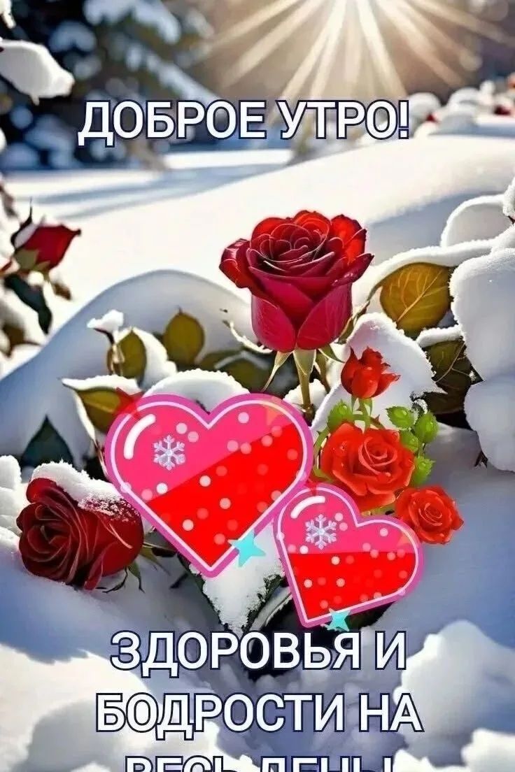 Доброе утро! Здоровья и бодрости на весь день