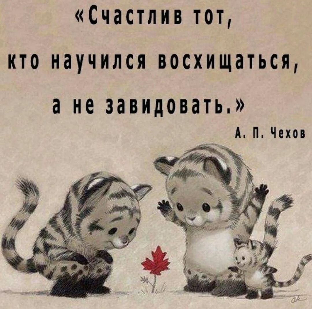 «Счастлив тот, кто научился восхищаться, а не завидовать.»