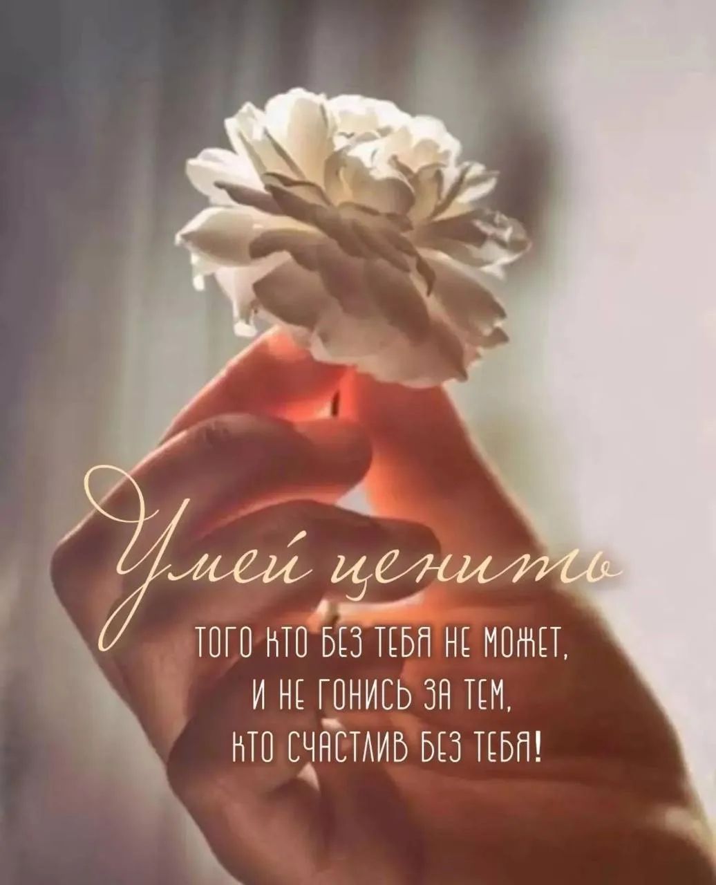 Умей ценить того кто без тебя не может, и не гонись за тем, кто счастлив без тебя!