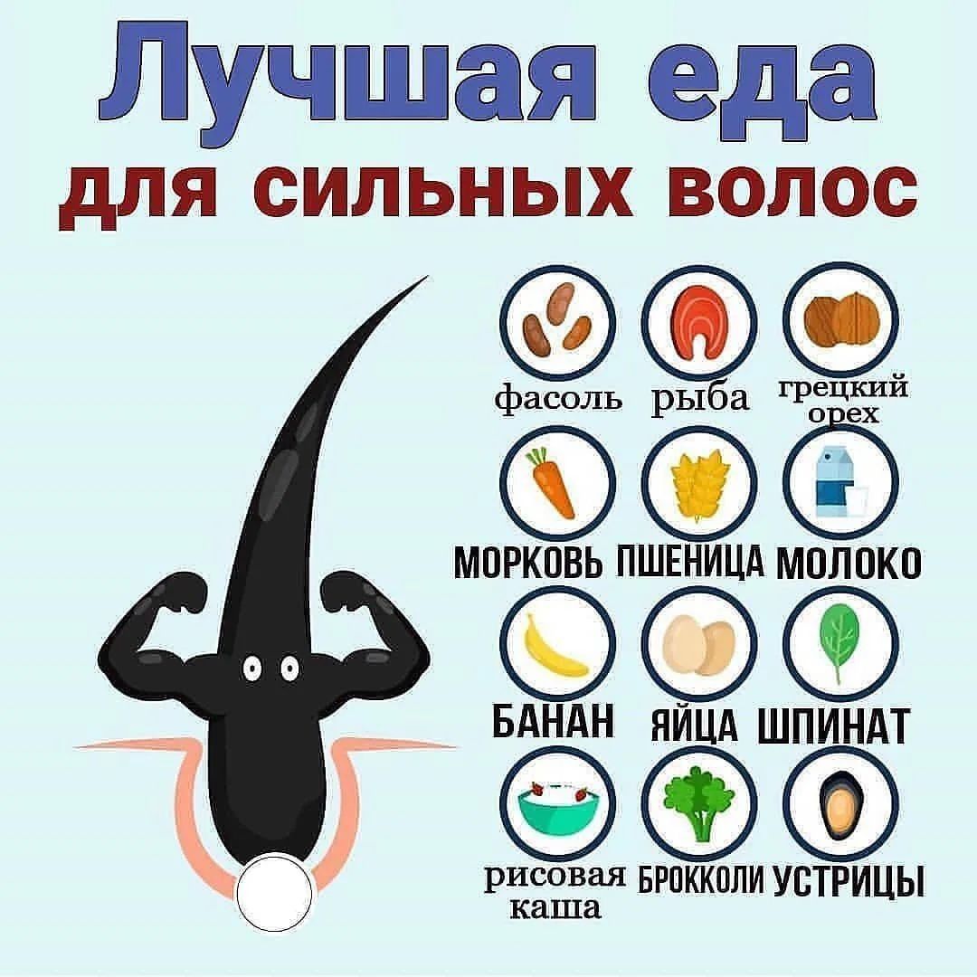 Лучшая еда для сильных волос фасоль рыба грецкий орех морковь пшеница молоко банан яйца шпинат рисовая каша брокколи устрицы