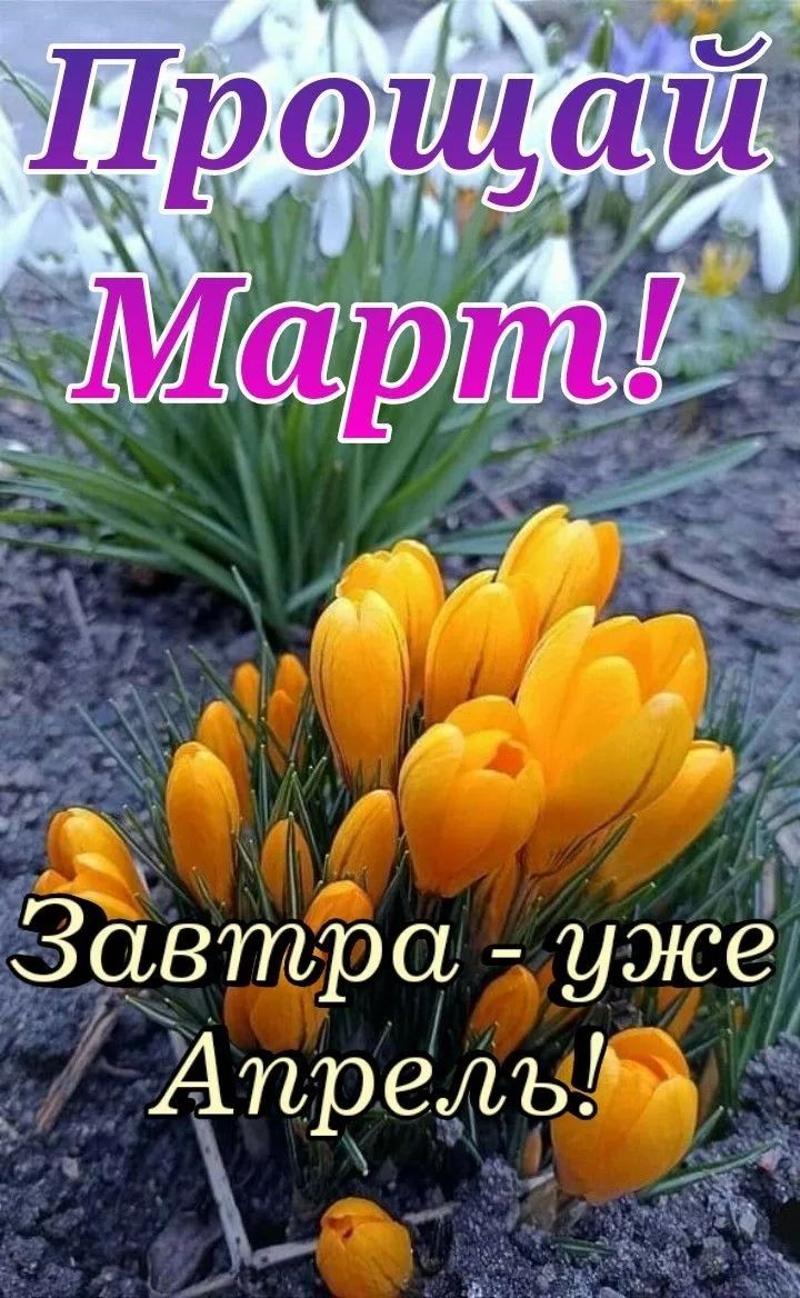 Прощай Март! Завтра - уже Апрель!