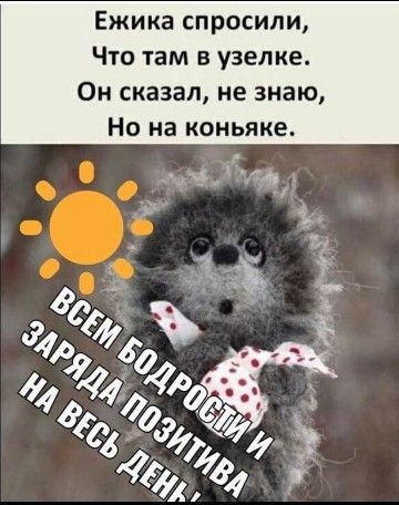Ежика спросили Что там в узелке Он сказал не знаю Но на коньяке