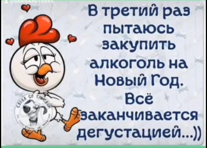 В третий раз пытаюсь закупить алкоголь на Новый Год _ Всё аканчивается дегустацией