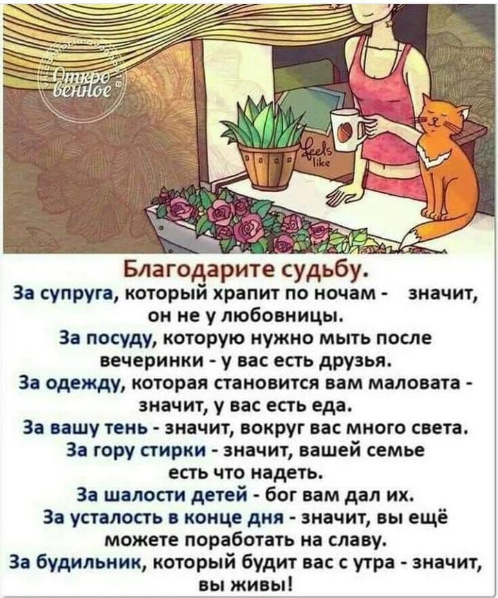 Благодарите судьбу За супруга который храпит по ночам он не у любовницы За посуду которую нужно мыть после вечеринки у вас есть друзья За одежду которая становится вам маловата значит у вас есть еда За вашу тень значит вокруг вас много света За гору стирки значит вашей семье есть что надеть За шалости детей бог вам дал их За усталость в конце дня значит вы ещё можете поработать на славу За будильн