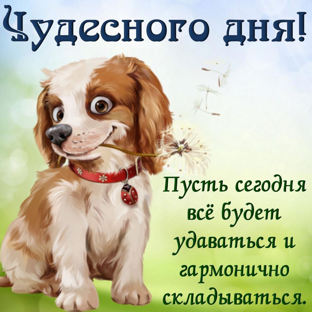 Чудесного дня Пусть сегодня всё будет удавиться и гармонично _ кладьъватьш