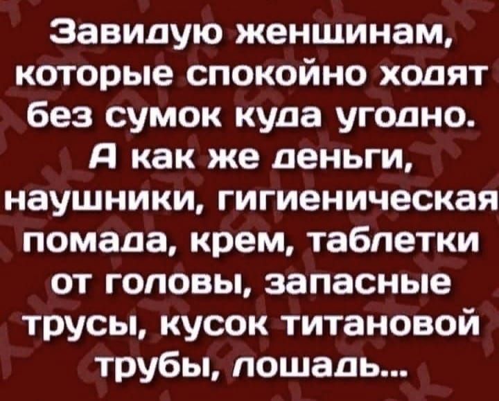 Завидую женщинам которые спокойно ходят без сумок куда угодно А как же деньги наушники гигиеническая помада крем таблетки от головы запасные трусы кусок титановой трубы лошадь