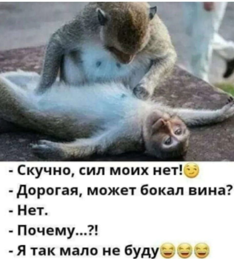 Скучно сил моих нет 1 дорогая может бокал вина Нет Почему Я так мало не буду