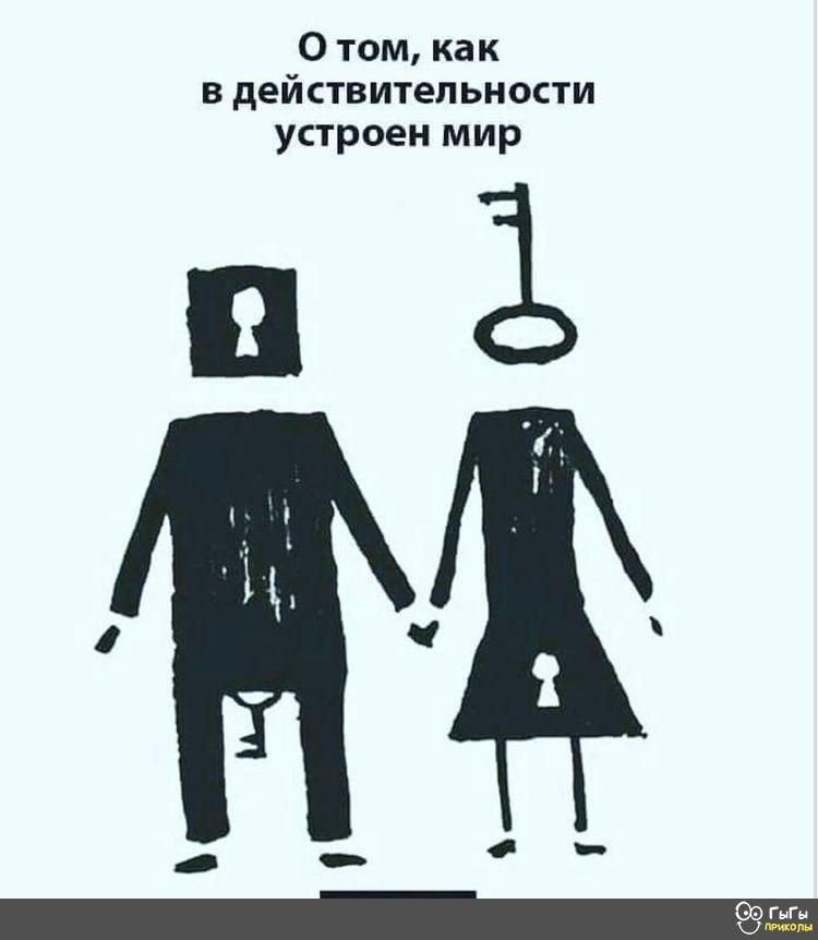 Отом как в действительности устроен мир гаг