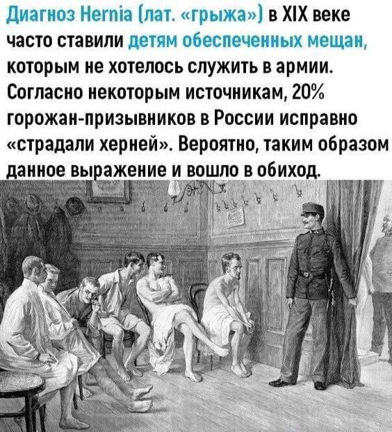 Диагноз Нотта лат грыжа в ХХ веке часто ставили детям озеспечсииыи мещан которым не хотелось служить в армии Согласно некоторым источникам 20 горожан призывников в России исправно страдали херней Вероятно таким образом