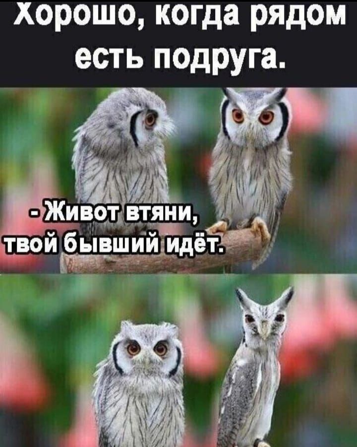 хорошо когда рядом есть подруга Жи вот вг_я_ни твой бывшищидеч О