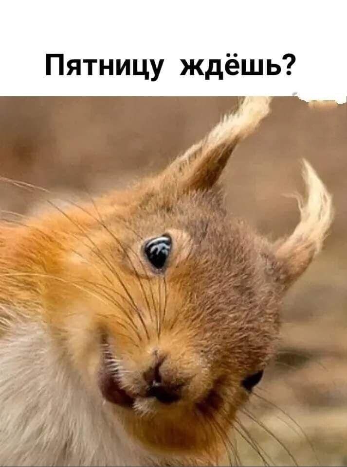 Пятницу ждёшь