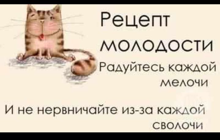 Рецепт МОАОАОСТИ Радуйтесь каждой меАочи И не нервничсйте из зо кожхпй СВООЧИ _