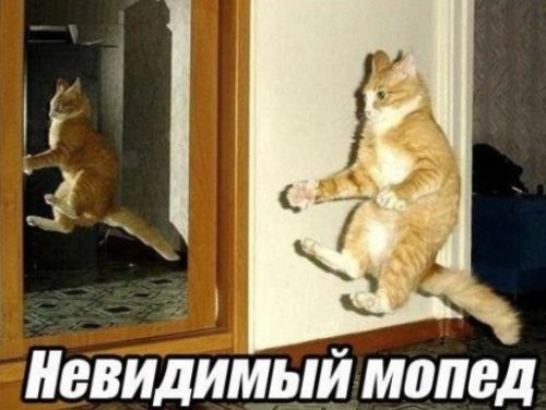 БВИДИМЫЙ МШЮД