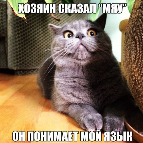 Ё