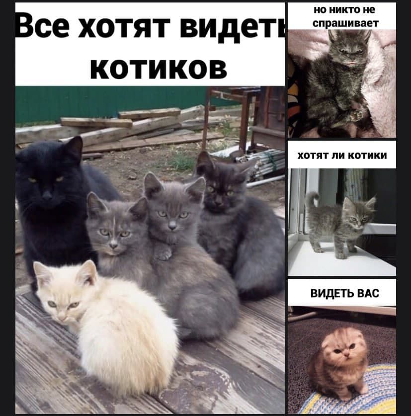 Н НИКТО не спрашивает