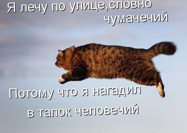 51191 по ули ца 3110 1 или 1311191 Г 1 этом у что 1 нагащип 111101 к челове11151