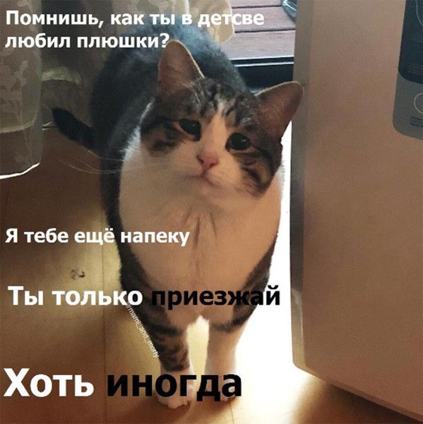 Помнишь кай любил плюшки _