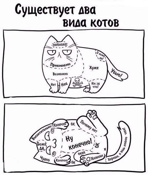 Существует два вида котов ФЖ _ ъ ЁРЁемдЕНЁ