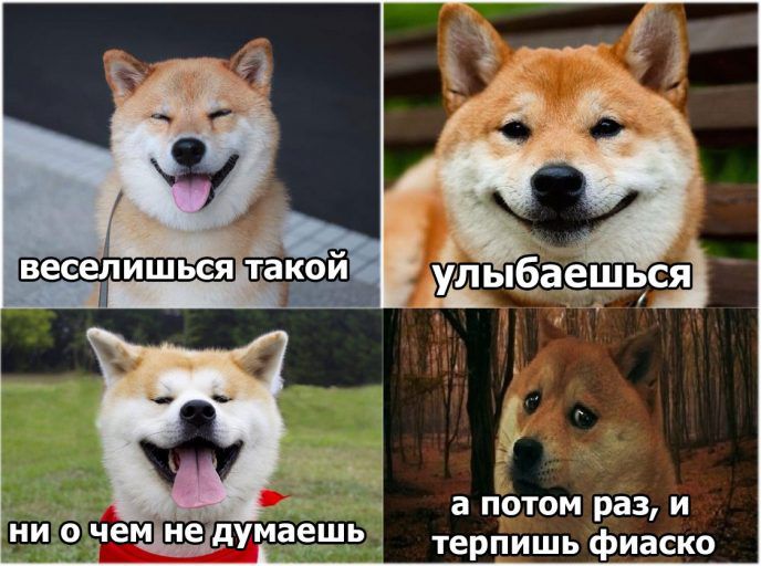 А иыбіаешчсэі _ Ч а потом раз и очем не дум терпишь фиаско