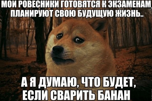 МВИ РВВЮНИНИ ШТВВПТСП ТТ ЗНЗТТМЕШТМ ППТТТТИТШПТ ШШШ БТТдТТЩУЮ ЖИЗНЬ А Я ЩШТТТЮ ЧТО БУДЕТ ЕВЛТТ ВВТТТИТЬ БТШМТ
