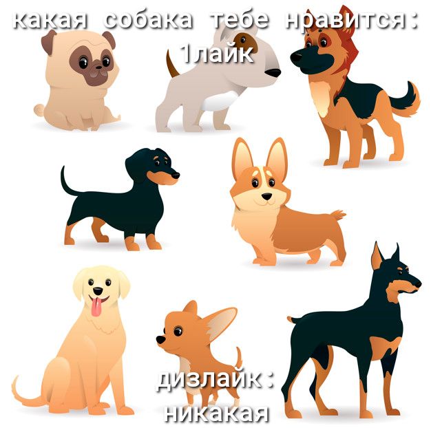 _ П НИ ЗКЗЯ