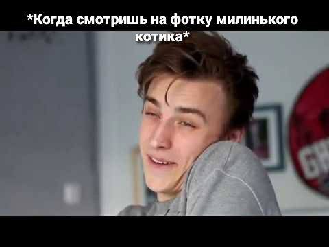 Когдд смотришь на фотку мипииького