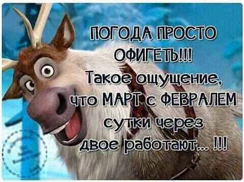 цю МАРТС ФЁВРАШЕМ