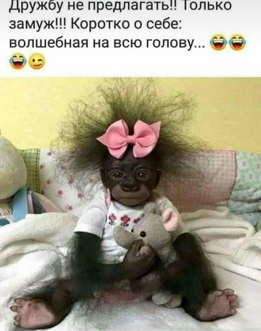 Дружбу не предлагать Только замуж Коротко о себе волшебная на всю голову ФФ